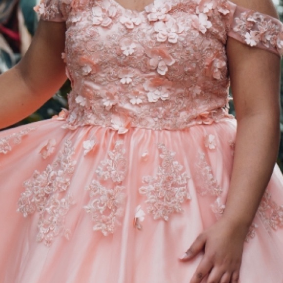 Quinceañera Dress- Formal gown-Blush Pink-PETTICOAT INCLUDED - Picture 5 of 7